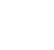 Track Your Order